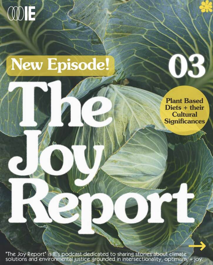 The Joy Report, IE’s two-season podcast.
