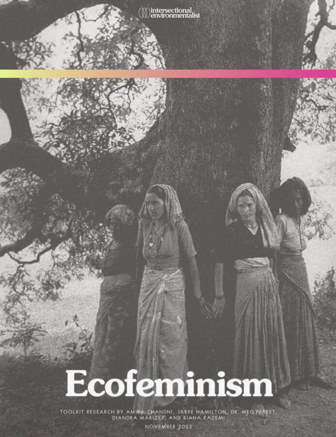 The Ecofeminism Toolkit, delivered in person to a Minnesota State graduate program.